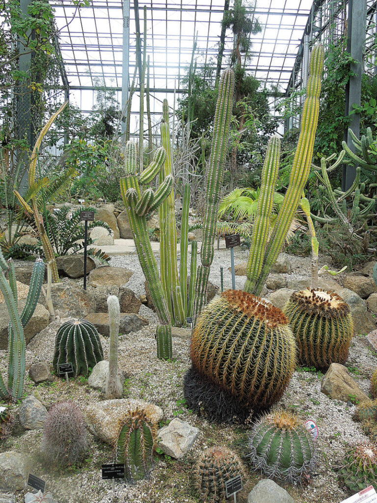 つくばサイエンスツアー ウキウキ Ukiuki 松戸の地域情報紙
